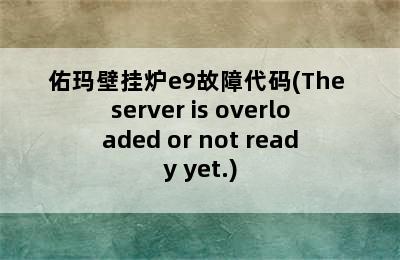 佑玛壁挂炉e9故障代码(The server is overloaded or not ready yet.)